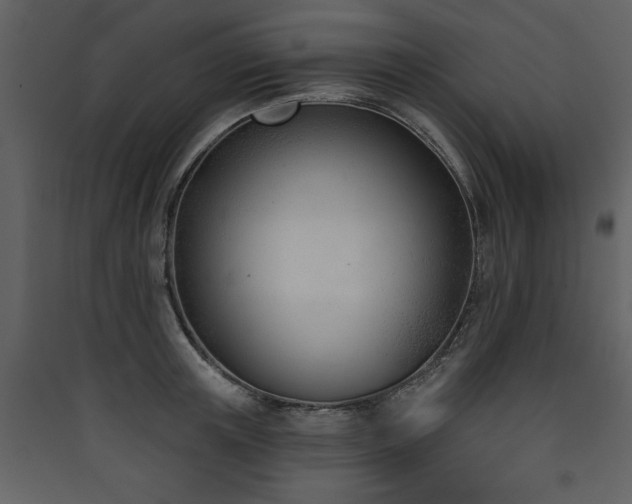 X0000090420851200707131207