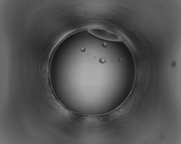 X0000090420852200707131207