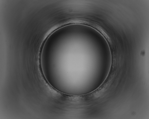 X0000090420853200707131207