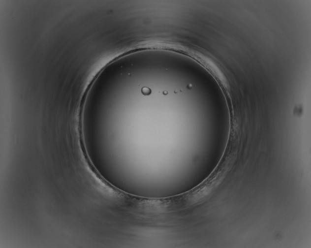 X0000090420855200707131207
