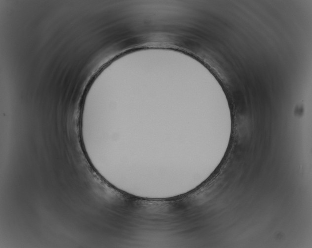 X0000090420856200707131207