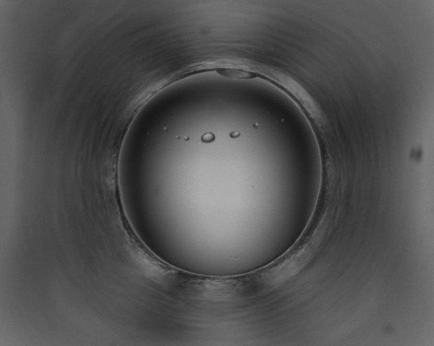 X0000090420857200707131207