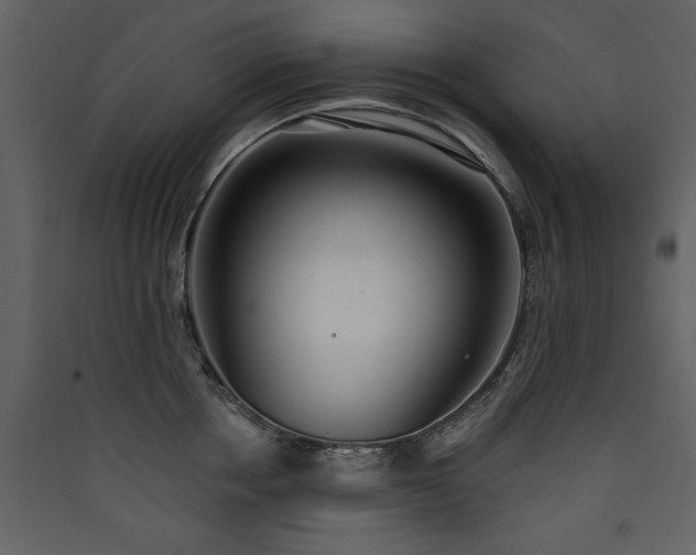 X0000090420858200707131207