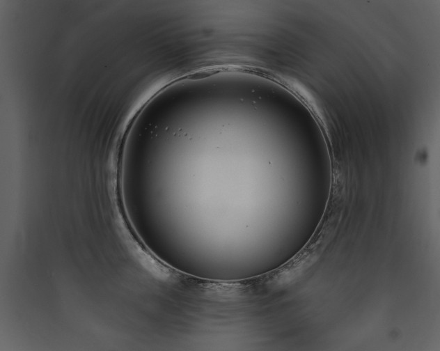 X0000090420859200707131207