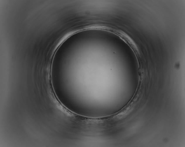 X0000090420860200707131207