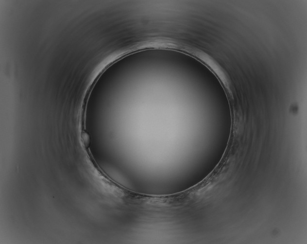 X0000090420861200707131207