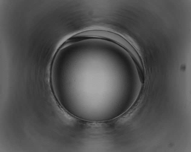 X0000090420862200707131207