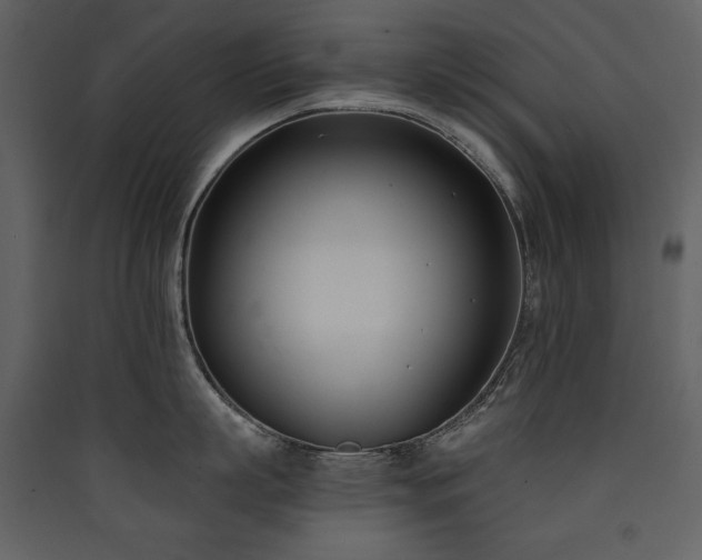 X0000090420863200707131207