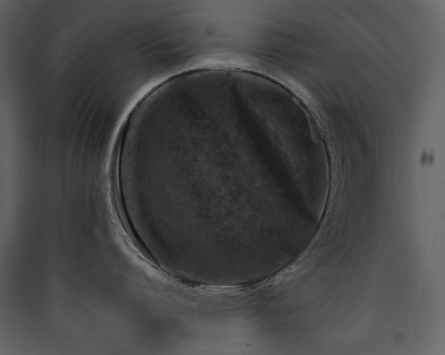 X0000090420864200707131207