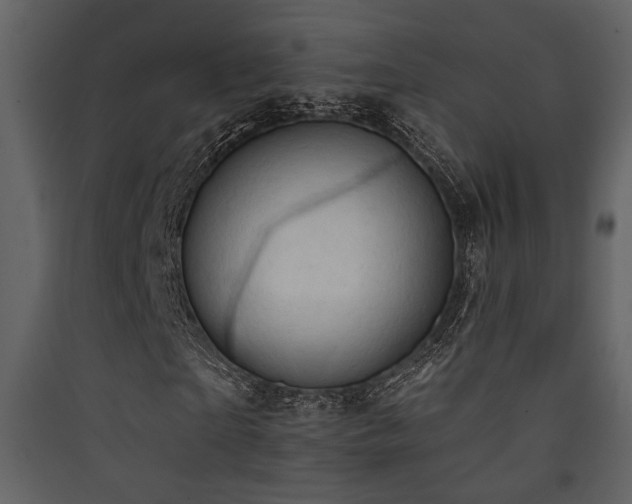 X0000090420865200707131207
