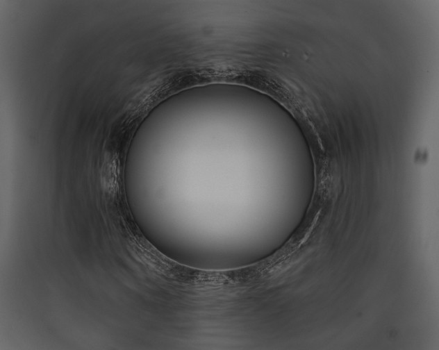 X0000090420866200707131207