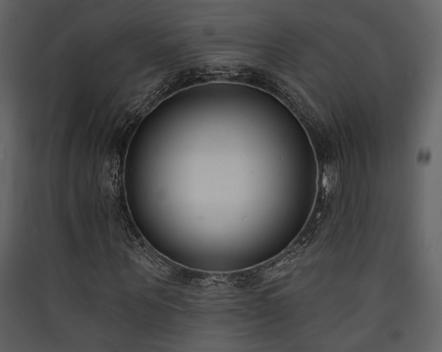 X0000090420867200707131207