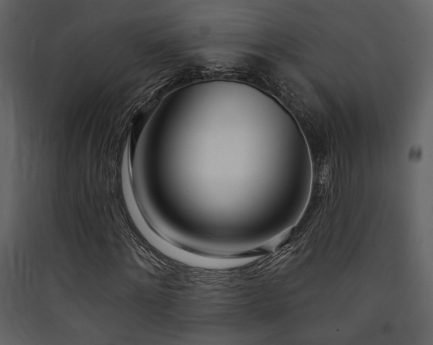 X0000090420868200707131207