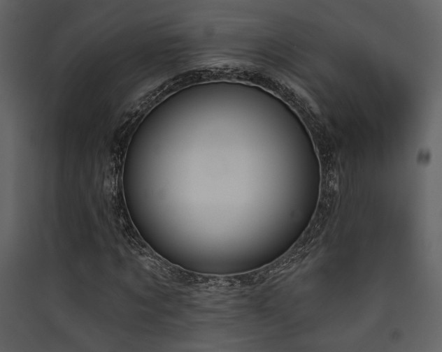 X0000090420869200707131207