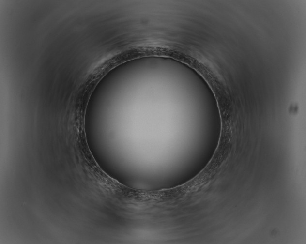 X0000090420870200707131207