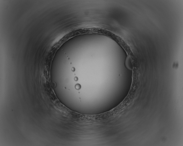 X0000090420871200707131207
