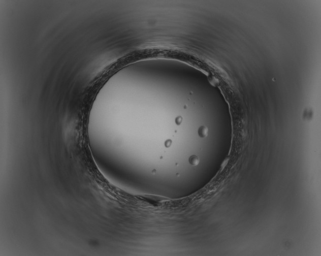 X0000090420872200707131207