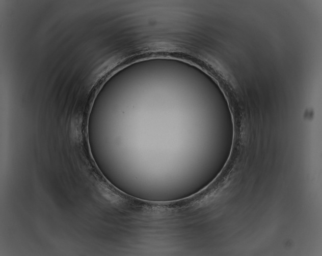 X0000090420873200707131207