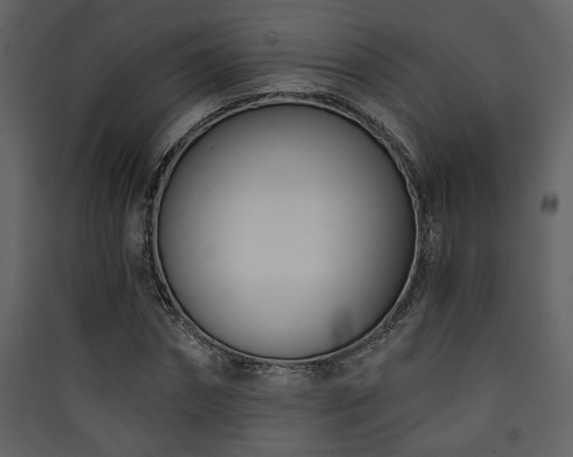 X0000090420874200707131207