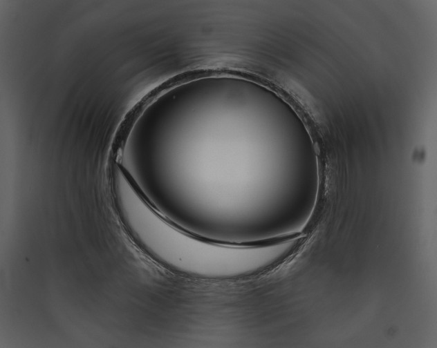 X0000090420876200707131207