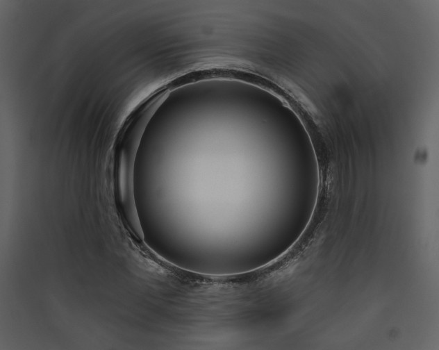 X0000090420877200707131207