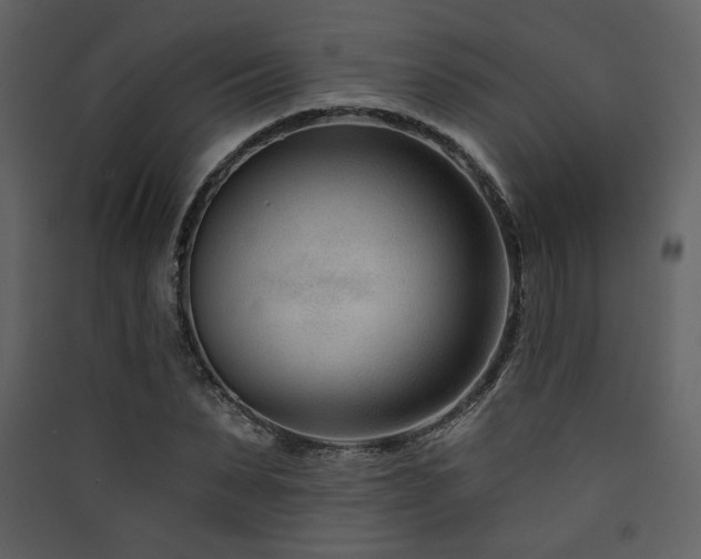 X0000090420879200707131207