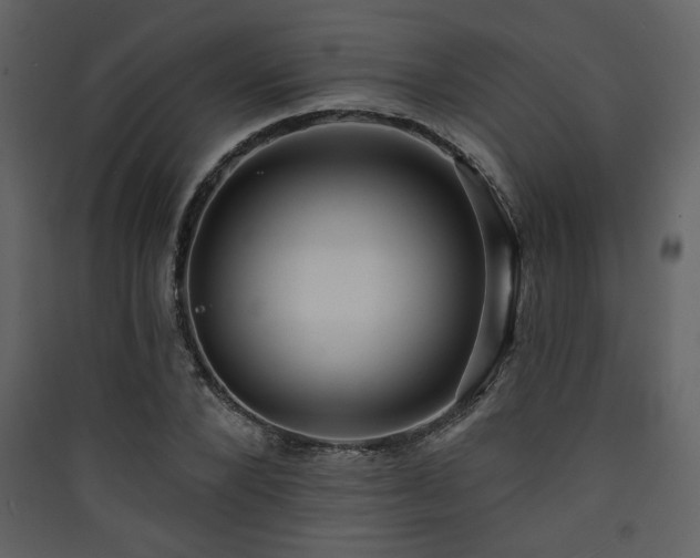 X0000090420880200707131207