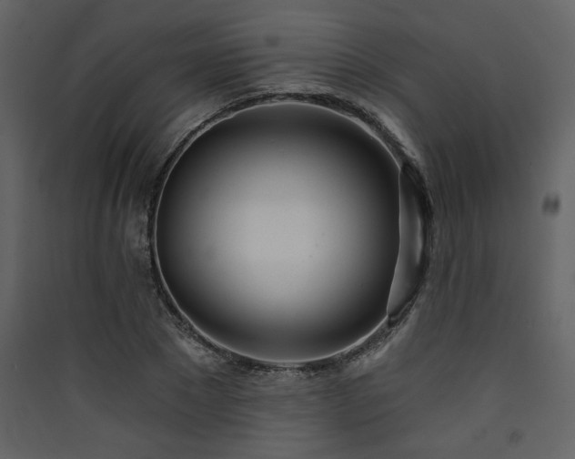 X0000090420881200707131207
