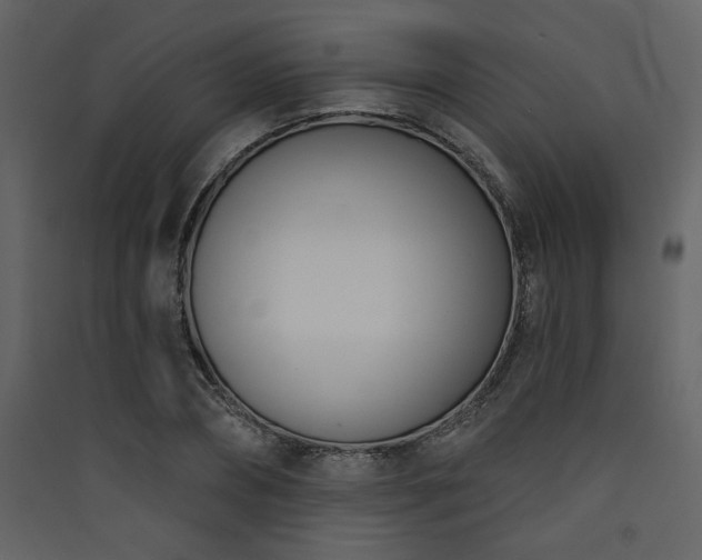 X0000090420882200707131207