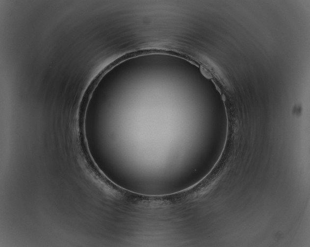 X0000090420884200707131206