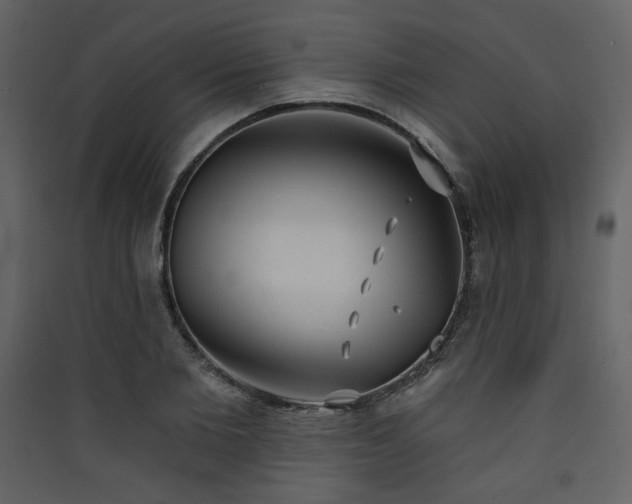 X0000090420885200707131206