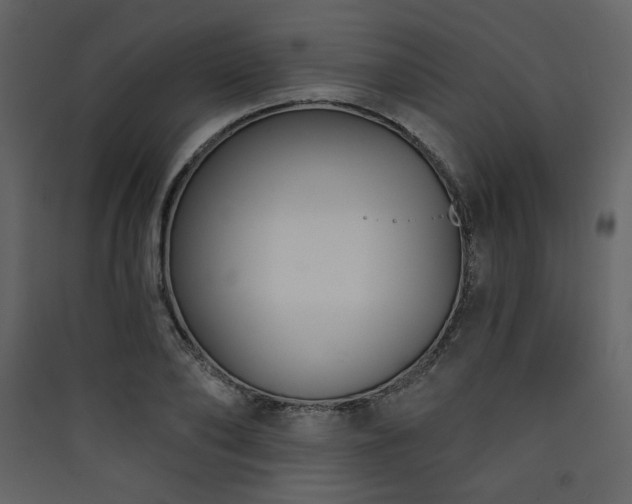 X0000090420886200707131206