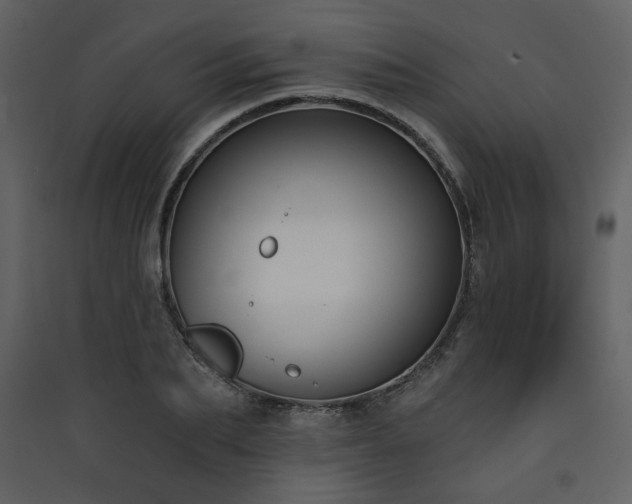 X0000090420887200707131206