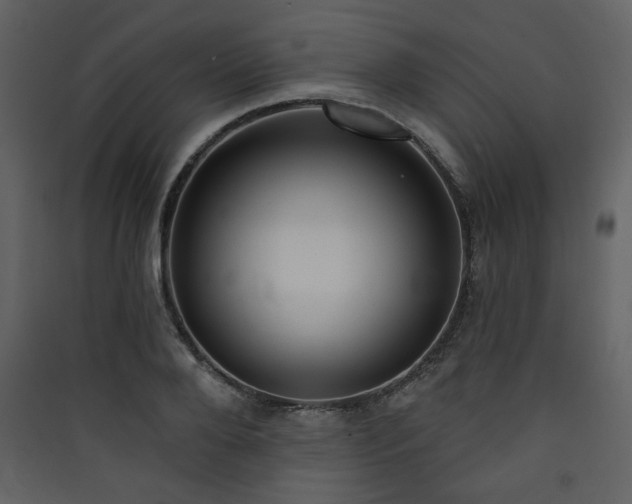 X0000090420888200707131206