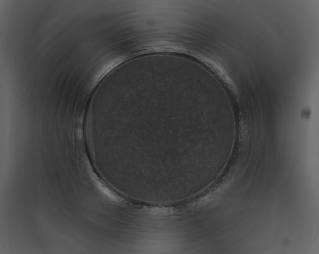 X0000090420889200707131206