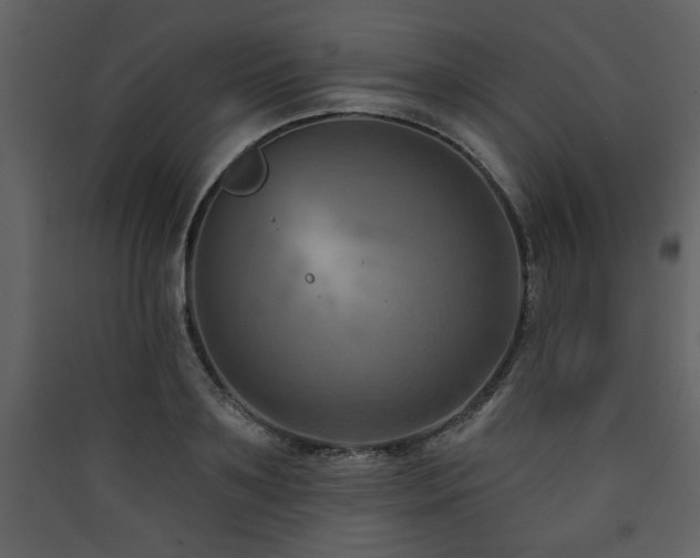 X0000090420891200707131206