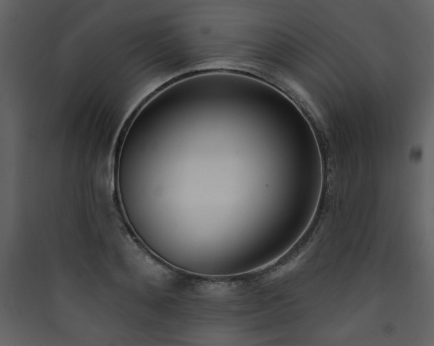 X0000090420892200707131206