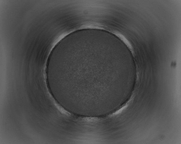 X0000090420893200707131206