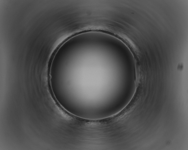 X0000090420894200707131206