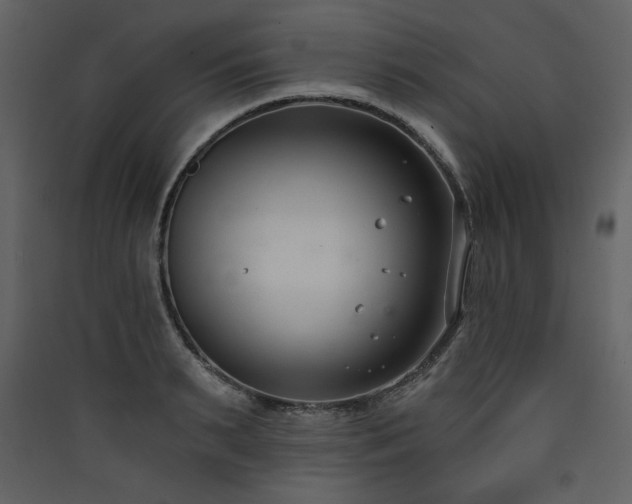 X0000090420895200707131206