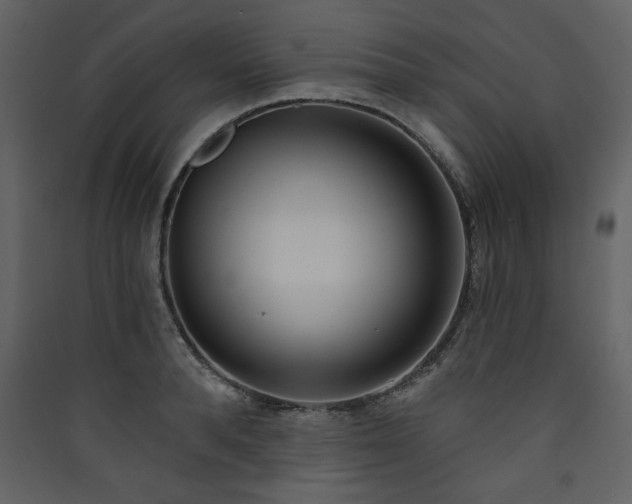 X0000090420896200707131206