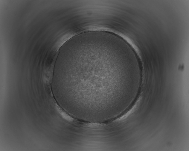 X0000090420897200707131206