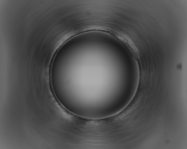 X0000090420898200707131206
