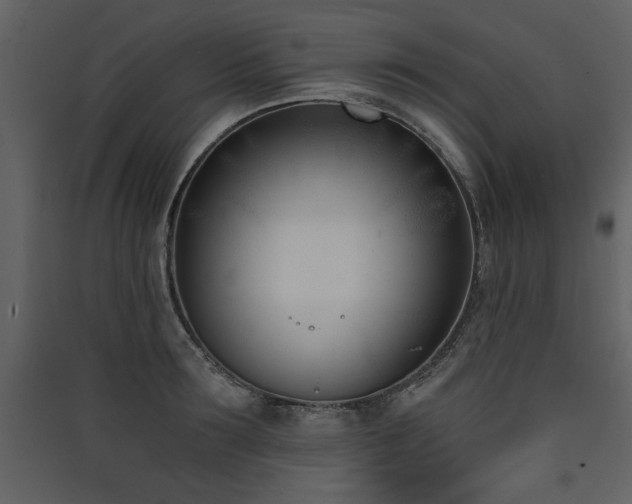 X0000090420899200707131206