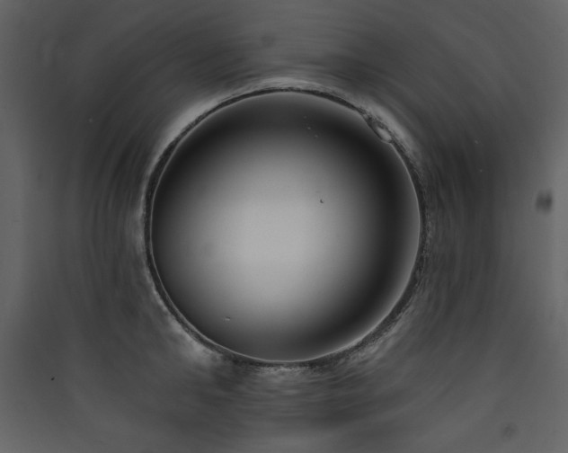 X0000090420902200707131206