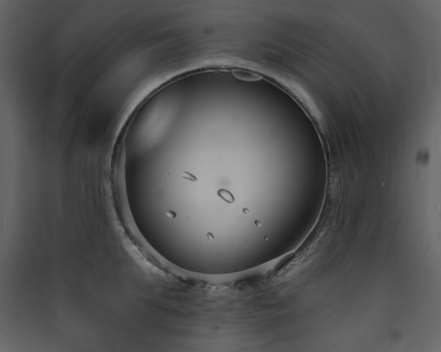 X0000090420903200707131206