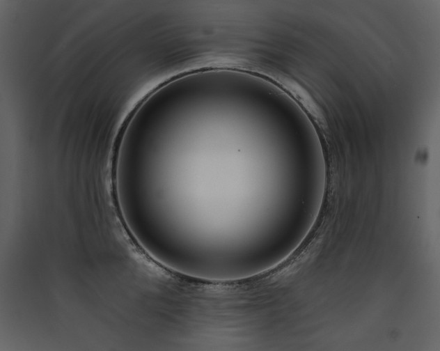 X0000090420904200707131206