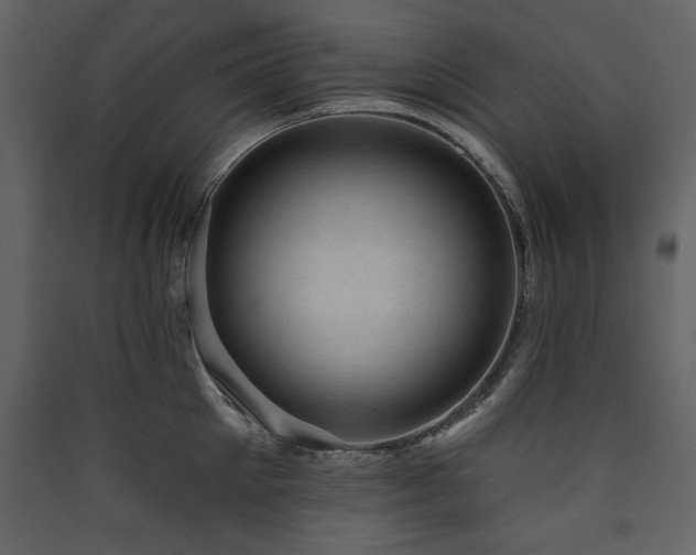 X0000090420905200707131206