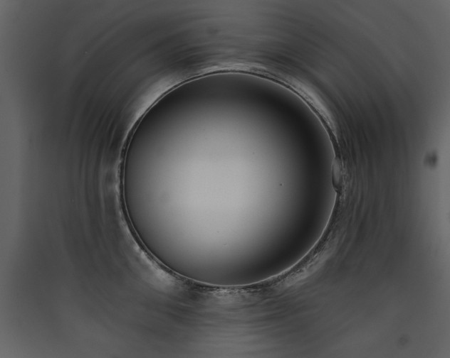 X0000090420906200707131206