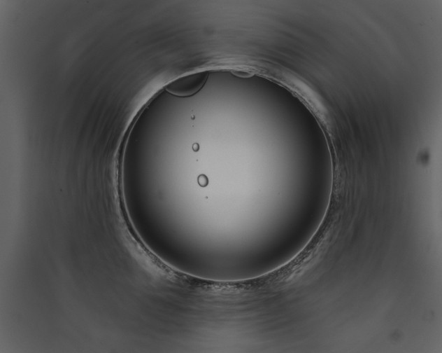 X0000090420907200707131206